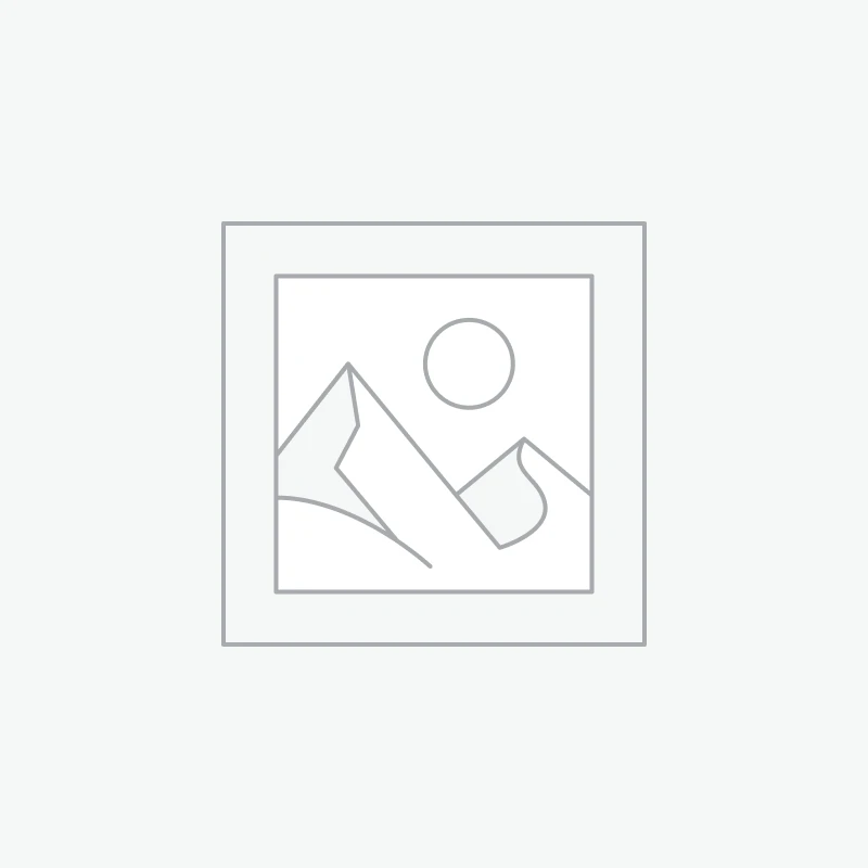 Rico Lounge Chair | Single Sofas & Poufs