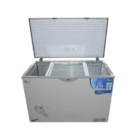 0065762_congelateur-roch-rcf-400-327l-gris-6-mois-de-garantis_550-1.png