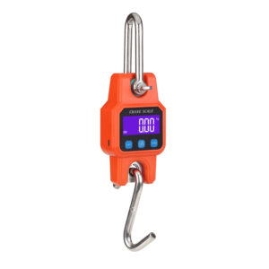 Balance portative Bluetooth WH-C06- 300 kg