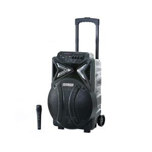 Haut-parleur professionnel Krypton-KNMS6059 -portable rechargeable avec micro - Noir