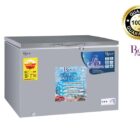 Congelateur-Roch-450L-RCF450.jpg