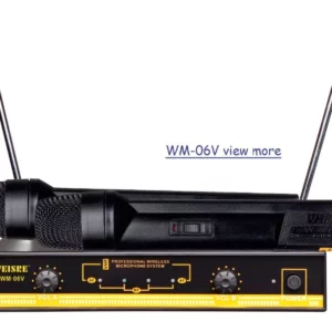 MICROPHONE SANS FIL DOUBLE CANAL Weisre WM-06V