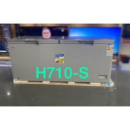 Congélateur Oscar H710-S